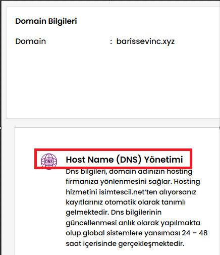 image-8 Alan Adı ve Office 365 Entegrasyonu: Adım Adım Rehber